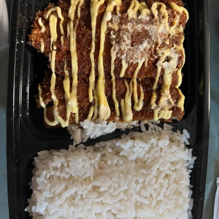 Delicious Katsu Options