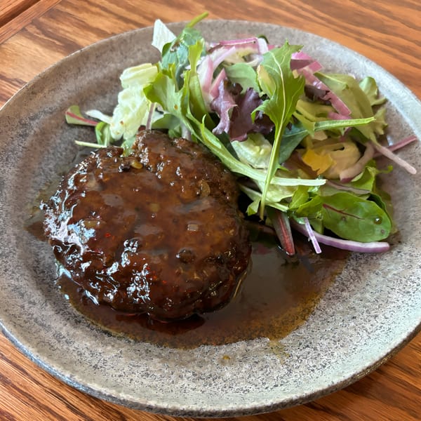 Japanese hamburger steak with a rich brown sauce and a side of fresh green salad.